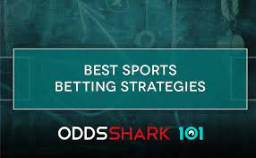 Many Websites Explain Sports Betting Systems - Learn How to Choose the Right One